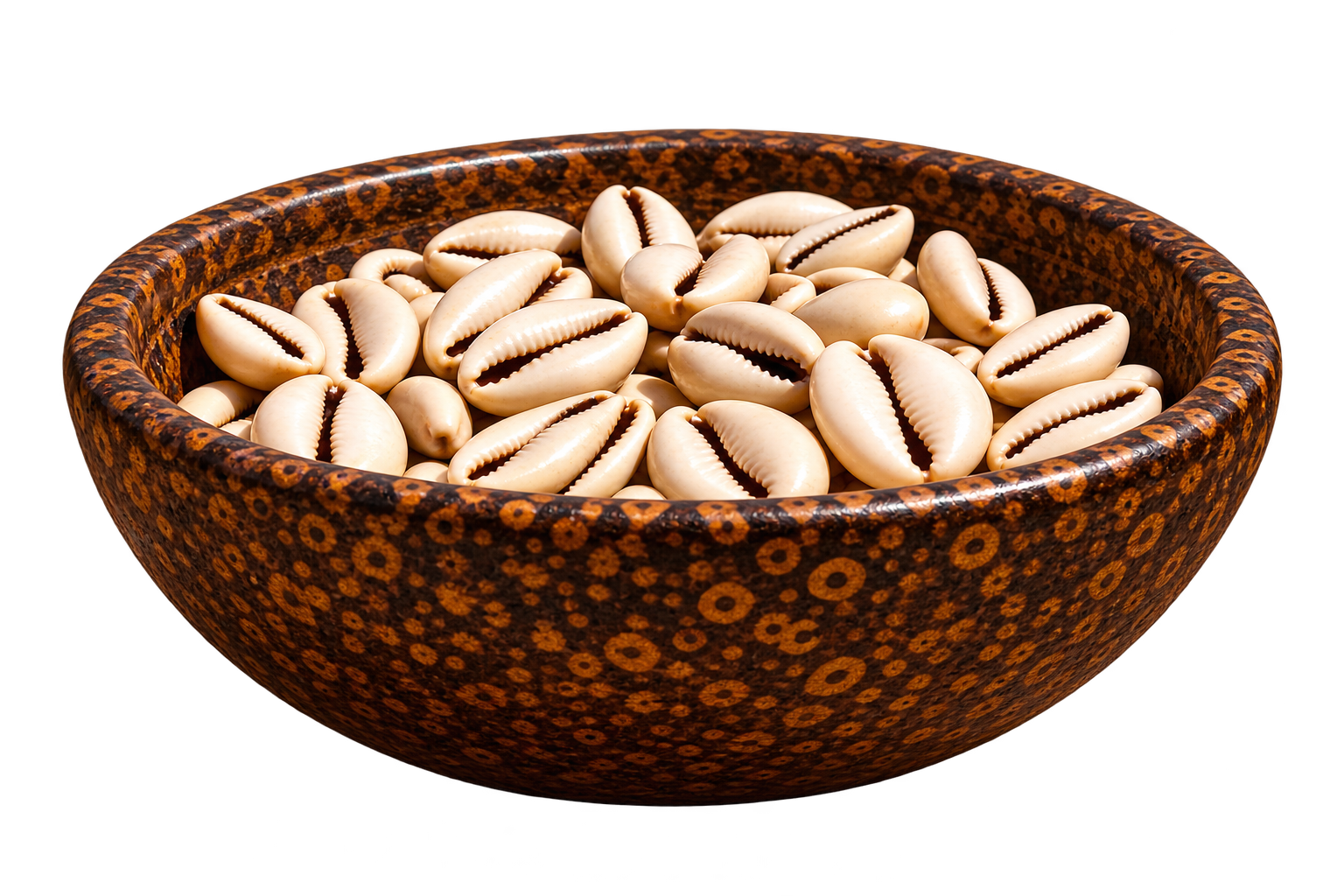 Cream cowrie shells in a richly patterned brown and ochre bowl